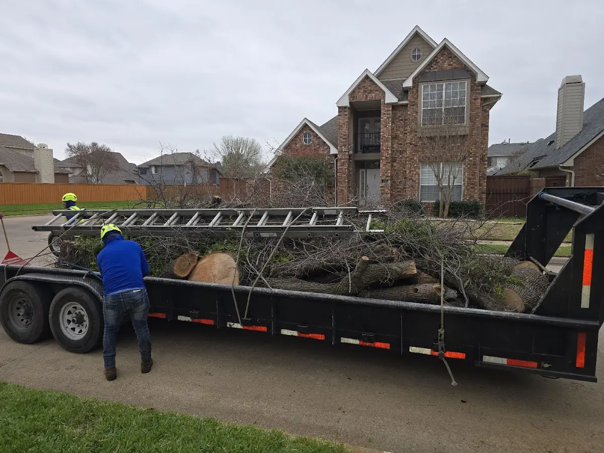 Expert Tree Pest Control with proper safety equipment in Arpin